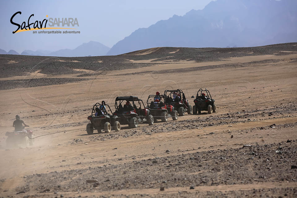 Dimineața safari cu buggy Polaris RZR Hurghada