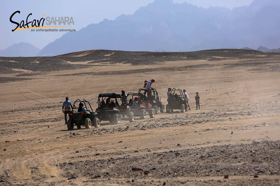 Excursie de dimineață cu dune buggy Polaris RZR în Sharm