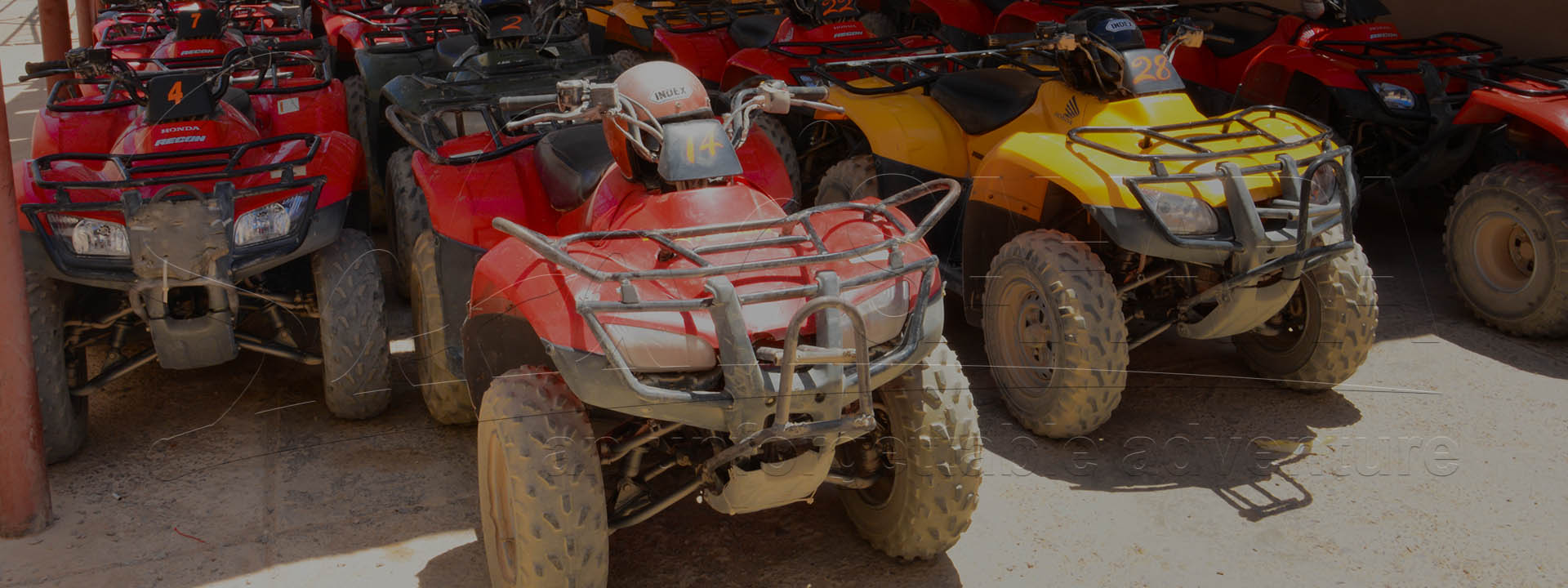 Hurghada quad bicicletă