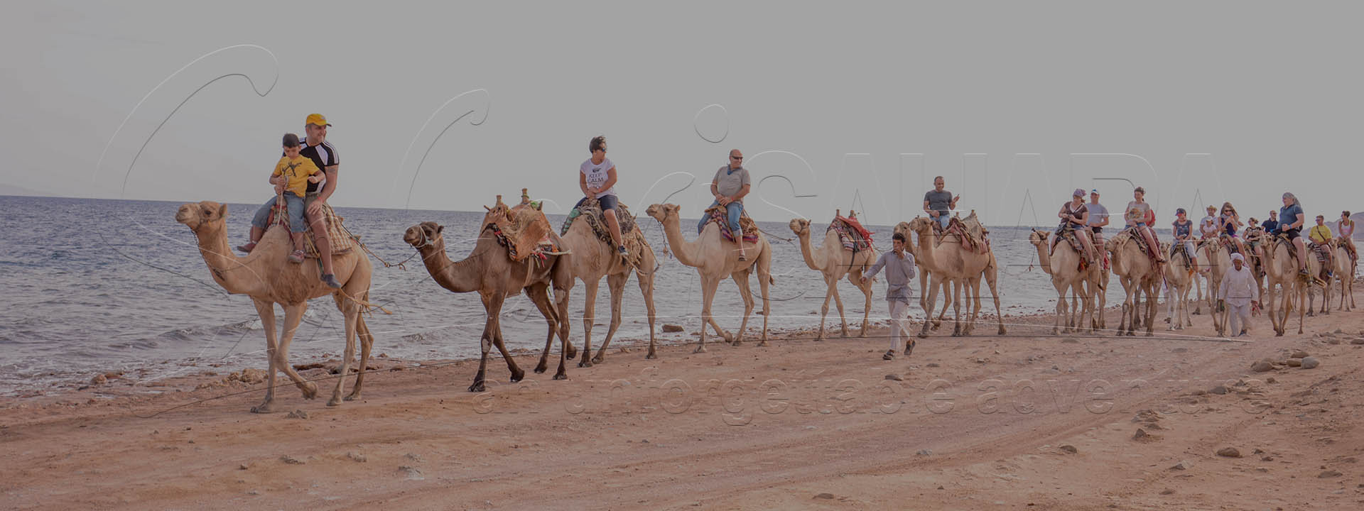 Excursie în deșertul Sharm El Sheikh