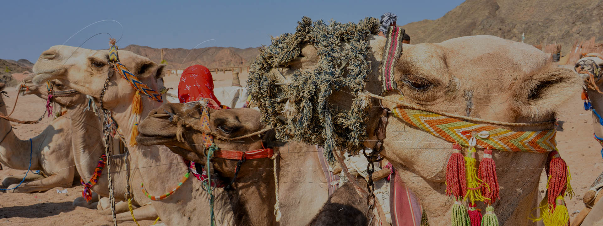 Safari de zi la apus de soare la Hurghada